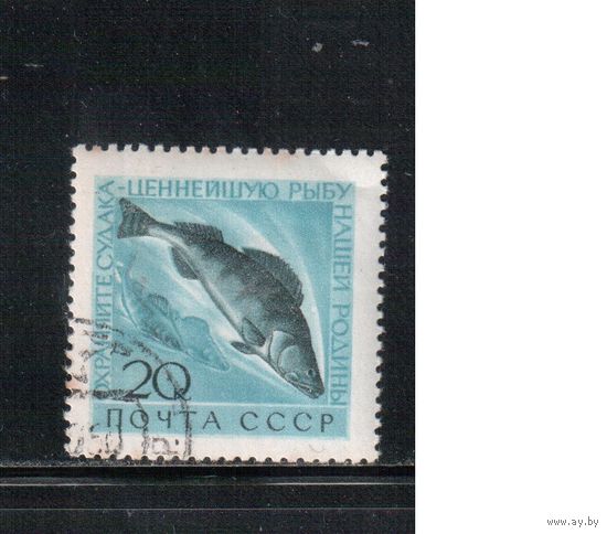 СССР-1960, (Заг.2384), гаш.(с клеем), Морская фауна
