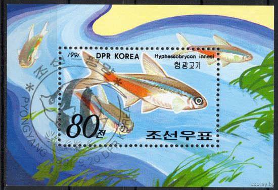 КНДР 1991. Фауна. Рыбы. 1 Блок (3240)