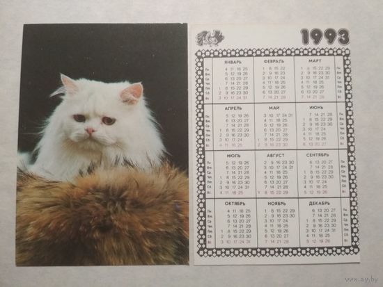 Карманный календарик. Котик.1993 год