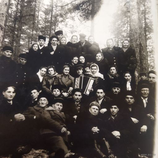 Фотография. Групповой снимок из 1940-50х с гармонистом. Ретро корпоратив. Винтаж.