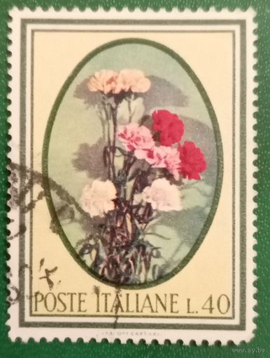 Италия 1966. Гвоздики