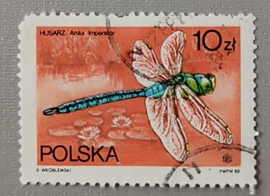 Стрекоза, 1988. Польша