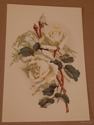 Открытка Цветок Розы Эстония Таллин Тип. Октообер 1970 г. Чистая