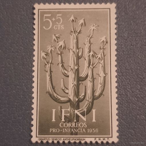 Ифни 1956. Испанская колония. Кактус