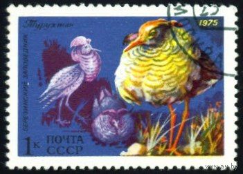 Фауна СССР 1975 год 1 марка