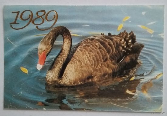 Календарик.1989.лебедь.