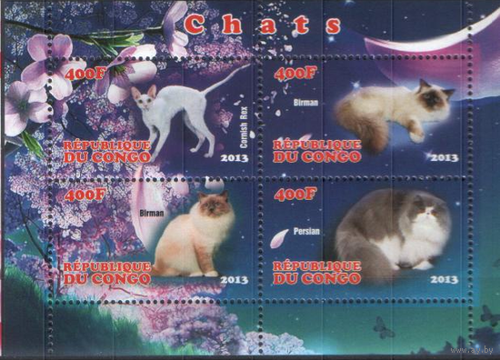 КОШКИ, ПБ **
