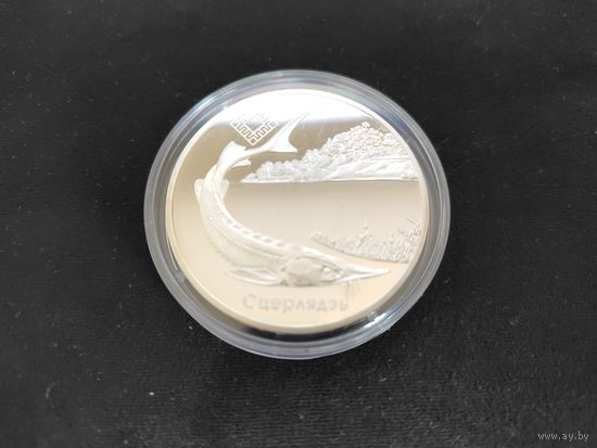 Заказник "Днепро-Сожский". Стерлядь. 20 рублей, серебро с рубля.