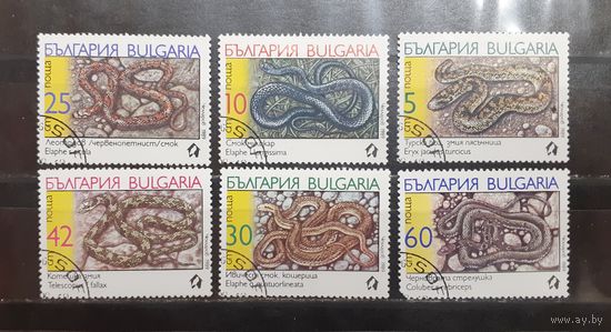 Болгария. 1989 год. Фауна. Пресмыкающиеся. Змеи (1064)