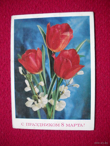 С праздником 8 марта! Костенко. 1973 г.