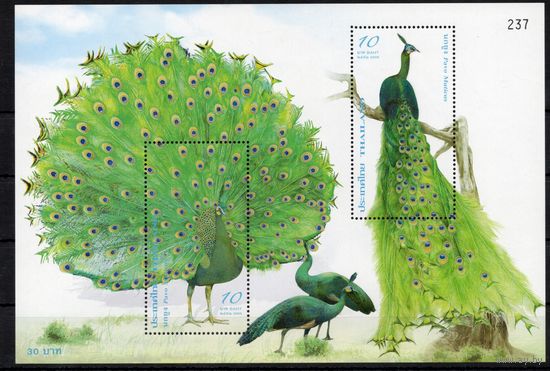 Таиланд 2008. Фауна. Птицы блок (2739)