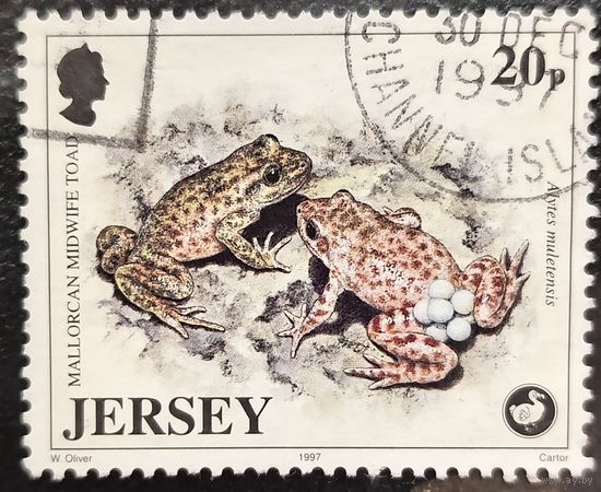 Джерси 1997. Фауна. Лягушки. Alytes muletensis