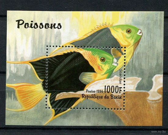 Бенин - 1996 - Рыбки - [Mi. bl. 23] - 1 блок. MNH.
