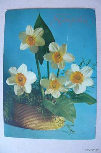 Анисонян Р., 8 Марта; 1980, подписана.