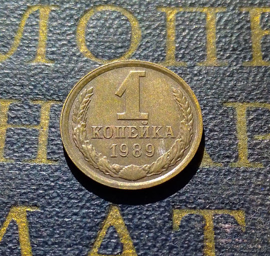 1 копейка 1989 СССР #32