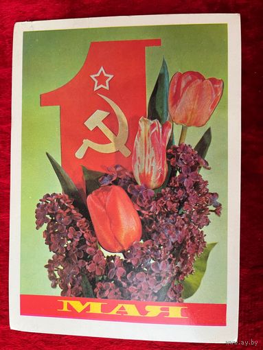 И. Дергилев. 1 мая. 1981 год. Подписана!