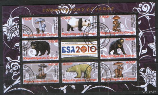 Конго. 2010. Представители фауны. Грибы. Гаш.