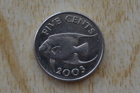 Бермуды 5 центов 2003