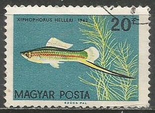 Венгрия. Тропические рыбы. Зелёный меченосец. 1962г. Mi#1820.