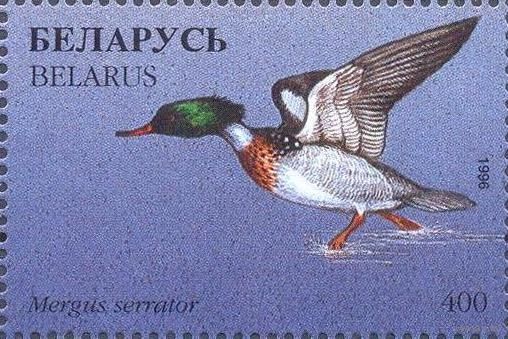 Беларусь 1996 фауна утки