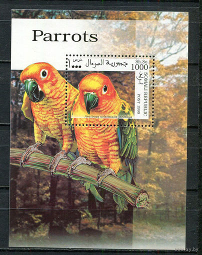Сомали - 1999 - Попугаи - 1 блок. MNH.  (Лот 57JQ)-T3P36