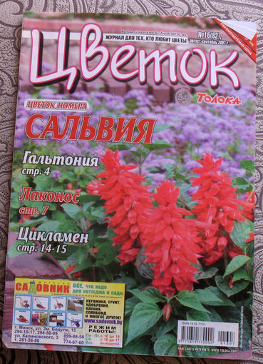 Цветок номер 16 2007, 17 2007