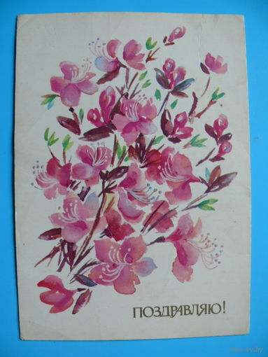Соколова А., Поздравляю! 1982, подписана.