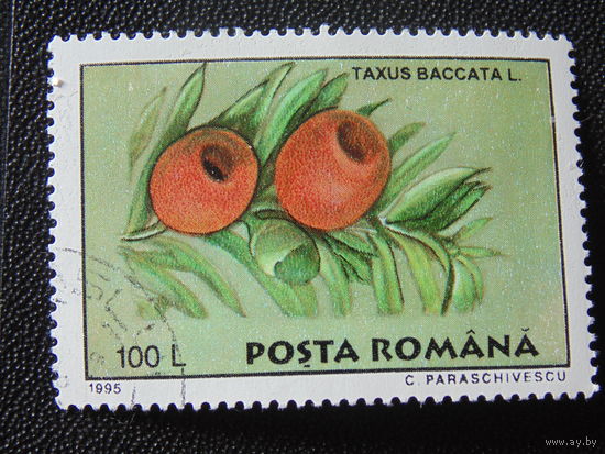 Румыния 1995 г. Цветы.