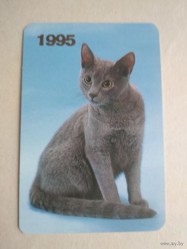 Карманный календарик.Кошки.1995 год