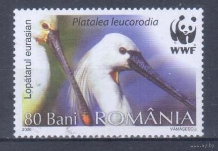 [338] Румыния 2006. Фауна.Птицы.Колпица. Гашеная марка. 3