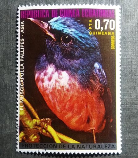 Марка Экваториальная Гвинея 1976 год Птицы