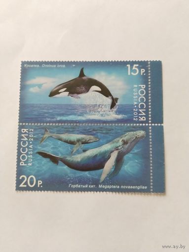 Россия  2012 2м сц.  морские животные