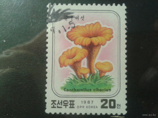 КНДР 1987 Грибы, лисички