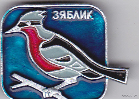 Зяблик.