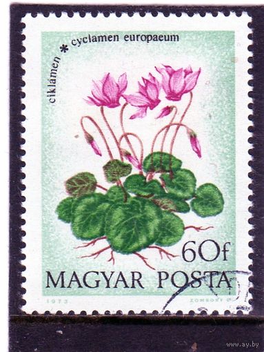 Венгрия.Ми-2888. Цикламена. Серия: Цветы.1984.