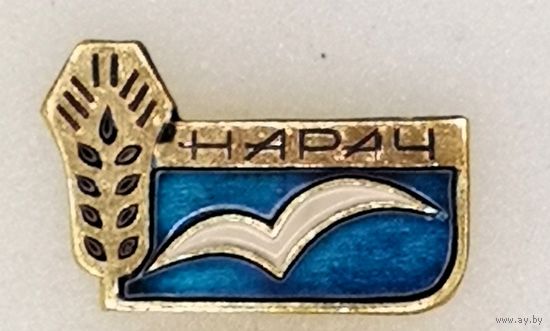 Озеро Нарач. Нарочь. Чайка.