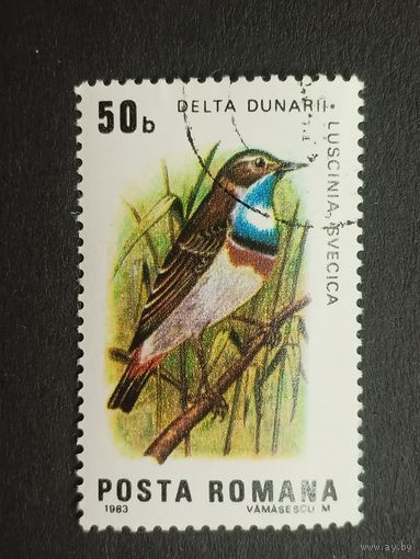 Румыния 1983. Птицы дельты Дуная. Варакушка