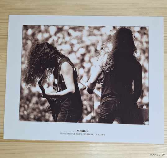 Арт Metallica - Monster Of Rock Festival