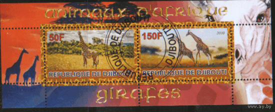 Джибути. 2010. БЛОК. Жирафы. гаш.
