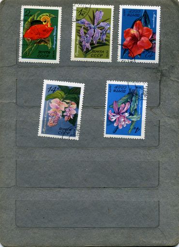 СССР, 1971, ТРОПИЧЕСКИЕ РАСТЕНИЯ,  серия 5м ,