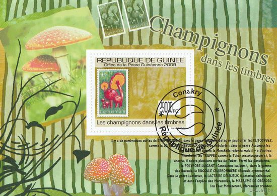 Гвинея /Грибы на марках/ 2009г