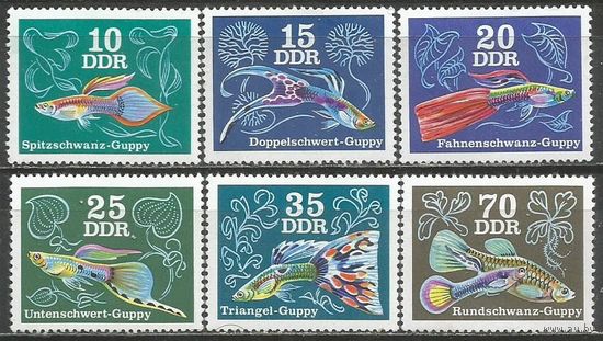 ГДР. Аквариумные рыбки. Гуппи. 1976г. Mi#2176-81. Серия.
