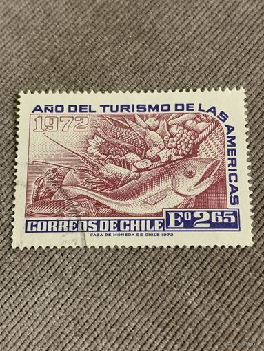 Чили 1972. Туризм в Америке