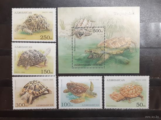 Азербайджан. 1995 год. Фауна. Рептилии. Черепахи (блок и 5 марок) (1113)
