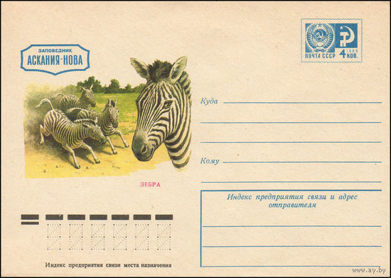 Художественный маркированный конверт СССР N 10627 (30.06.1975) Заповедник Аскания-Нова. Зебра