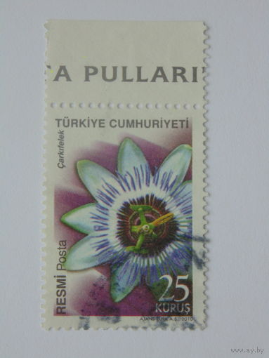 Турция 2010г. Флора.