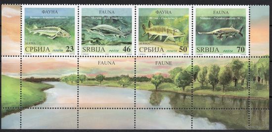 Сербия 2018. Фауна. Рыбы. Сцепка 4 марки с нижним полем (781)