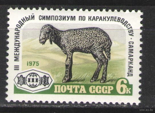 Марки СССР. 1975г. Международный симпозиум по каракулеводству.