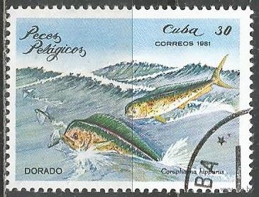 Куба. Морские рыбы. Золотая макрель. 1981г. Mi#2538.
