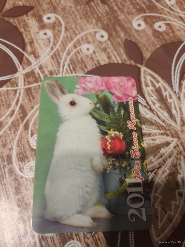 Календарик,кролик,2011